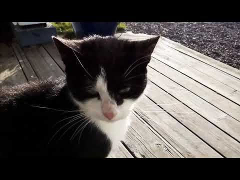 Visar min lilla trädgård 😉