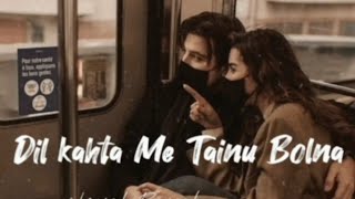 Dil kahta Me Tainu Bolna song (slowed Reverb) new song