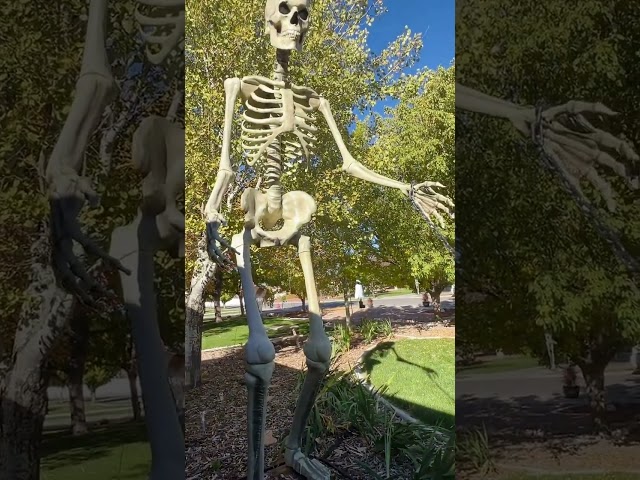 Vídeo relacionado con Figura de esqueleto de Halloween, 6,3 x 5,51 x 12,2 pulgadas, Compact Yet Glowing Eyes & Sound Effects, Spooky Decor for Haunted House, Interior, Home, Desk, Festival y