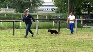 IMG 9517