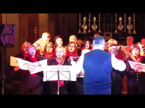 Coro Tre Ponti - Do you hear what i hear