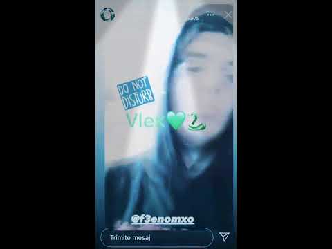 Lino golden-ALO(leak)