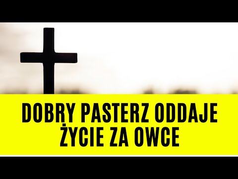 #Ewangelia | 09.05.2022 - "Dobry pasterz oddaje życie za owce"