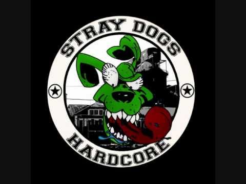 Stray Dogs - Petrak