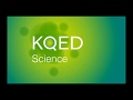 KQED Logo History UPDATED