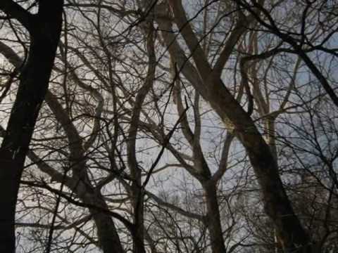 Video thumbnail for Sullivan Street