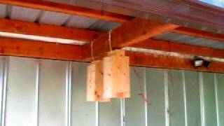 Carpenter bee solution