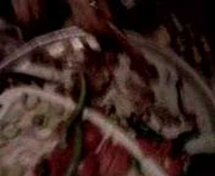 sinan hocalı c!mc!m ali