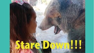 A STARE DOWN WITH A HUGE BEAR!!! at the zoo