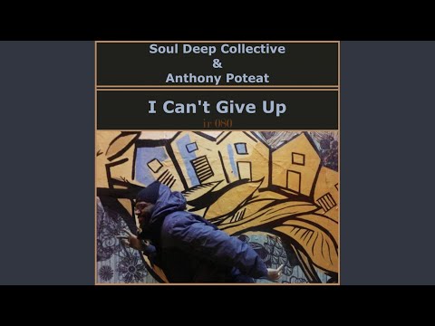 I Can't Give Up (Radio Mix)