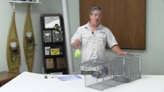 Woodchuck Cage Trapping