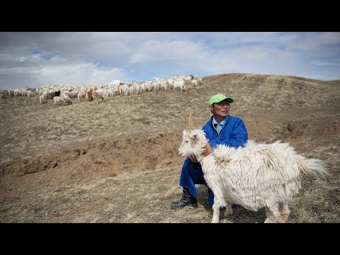 This Company Has The Best Origin Story You’ve Ever Heard