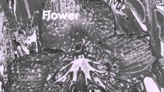 Taucher - Flower
