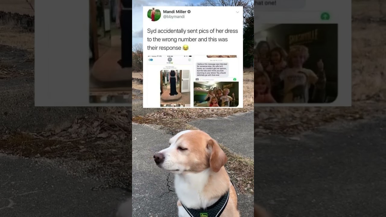 accidentally sent pics to the wrong number