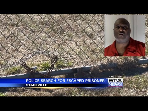 Lowndes County Inmates 411