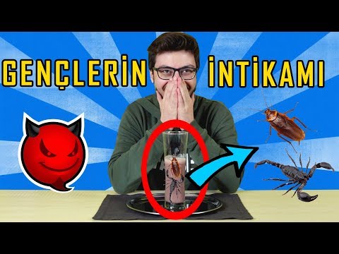 GENÇLERİN İNTİKAMI