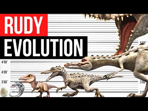Evolution of The Rudy | Life Cycle