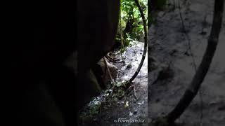 preview picture of video 'Wonder caves wayanad'