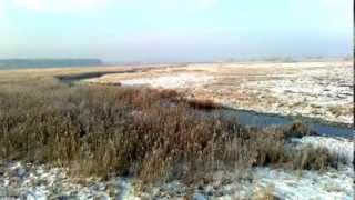 preview picture of video 'Narew nieopodal miejscowości Uhowo koło Łap.'