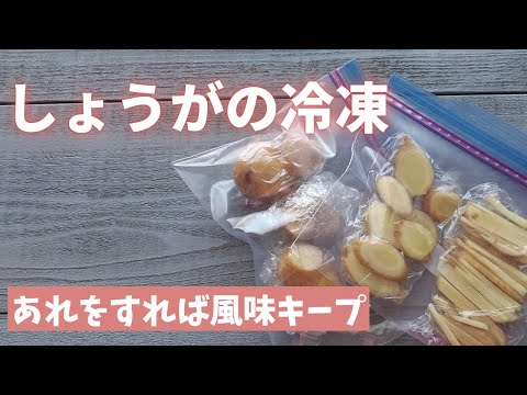【しょうがの冷凍保存】保存期間は4か月。冷凍した方が香りもキープできます！