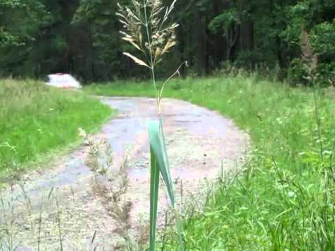 Testy przed Rzeszowskim 2011 w skrócie  - Palider, Kocur, Musz, Zygmunt, Marchewka