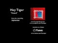 Hey Tiger - Friend