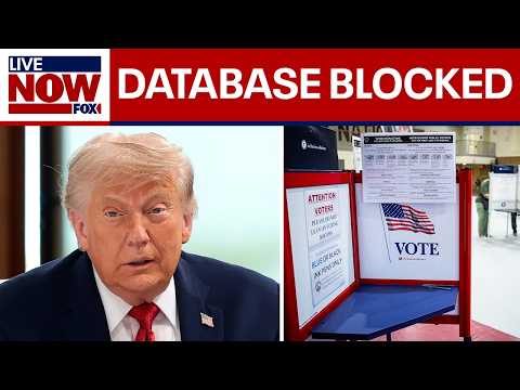 Judge blocks Trump admin's federal voter-screening database