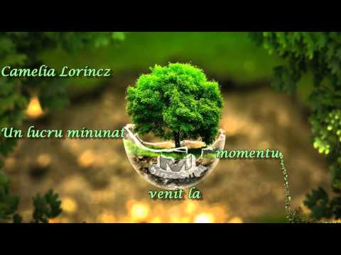 Marturie ce iti va schimba viata, Camelia Lorincz - Un lucru minunat venit la momentul potrivit