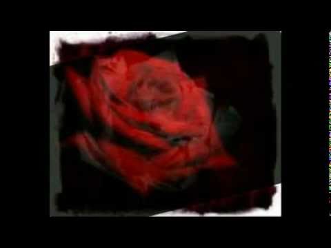 Ahmet Yavuzer Yalnizim Askim 2010