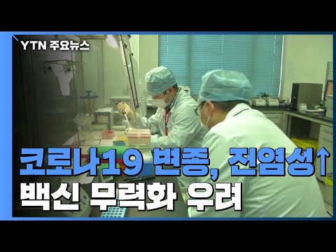 아이콘