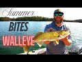 Video Thumbnail for June Walleye Catch and Cook in Saskatchewan