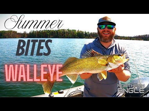 June Walleye Catch and Cook in Saskatchewan