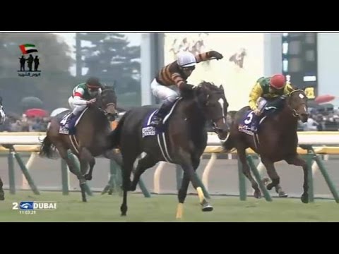 2016 JRA Japan Cup SKY Racing