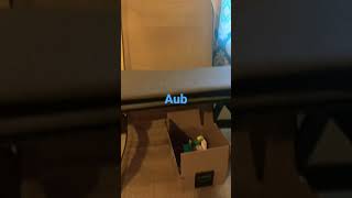 Aubree Aubrey K hell Jeffy Paris craving life because I just did Tik Tok