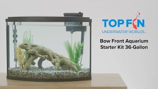 Top Fin Bow Front #Aquarium Starter Kit Setup, 36-Gal | YouTube