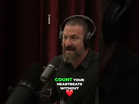 Cannabis & Workout: Enhance Interoception - Andrew Huberman Explains - Joe Rogan Fitness