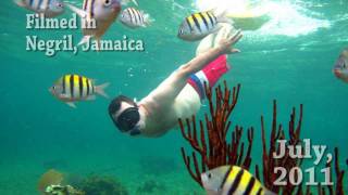 preview picture of video 'Jamaica Snorkeling'