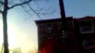 Beru Cover: Chromosome Y