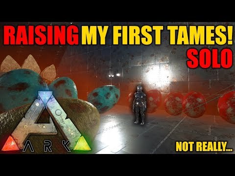 RAISING MY FIRST SOLO TAMES! (not really...) - Ark Survival Evolved