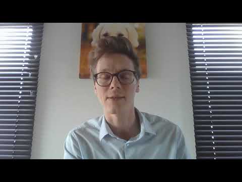 Voorbeeld - Video CV