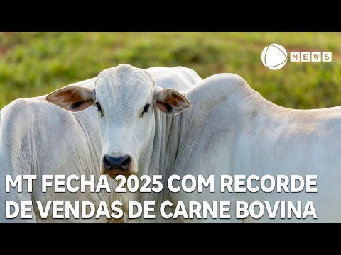 Mato Grosso fecha 2025 com recorde nas vendas para o exterior