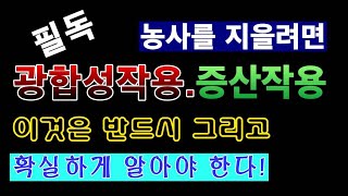 [텃밭농부. 1,036]  필독. 농사를 지으려면 광합성작용, 증산작용  자세히 알아야한다.#광합성작용 #탄…
