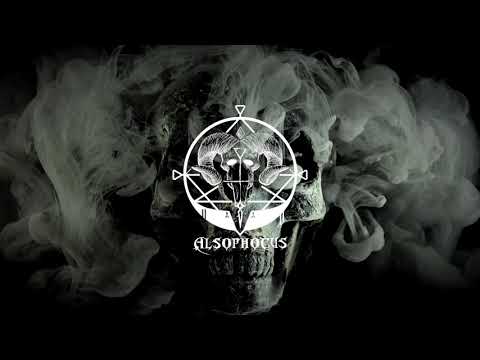 Alsophocus  - Pasota vivaque