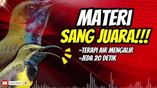 Download lagu MASTERAN SOGON CER SEJALUR PANJANG TERAPI AIR DAN JEDA!! #sogon #sogongacor #sogokontonggacor mp3 Download lagu MASTERAN SOGON CER SEJALUR PANJANG TERAPI AIR DAN JEDA!! #sogon #sogongacor #sogokontonggacor mp3
