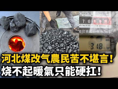 Farmers in Hebei are suffering terribly after the coal-to-gas conversion! They can't afford heati...