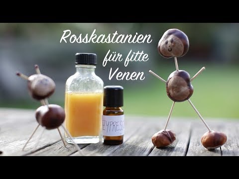 Horse chestnut for fit veins - Viriditas medicinal plant video
