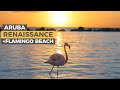Renaissance Aruba Resort review + Private Flamingo Island