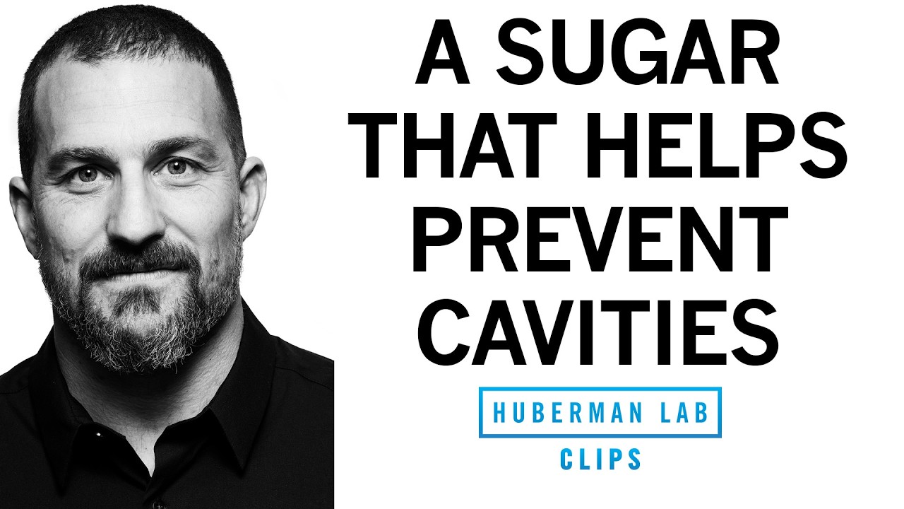 The Benefits of Xylitol for Oral Health | Dr. Andrew Huberman