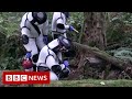 Nest Of 1 500 Murder Hornets Destroyed In The US BBC News