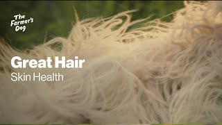 The Farmer's Dog Great Hair